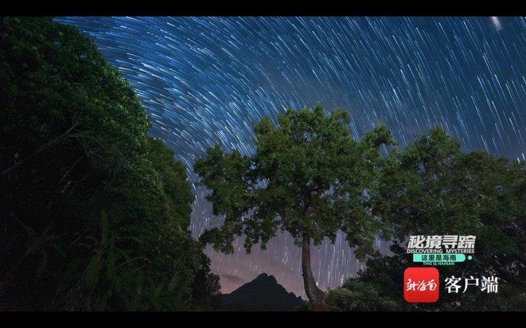 赵丽颖力挺《花千骨》!投资1亿票房惨淡
